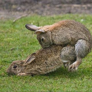 Lotus ve con humor salida de Räikkönen