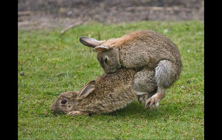 La polémica foto que Lotus puso luego de la salida del piloto finlandés. ESPECIAL /