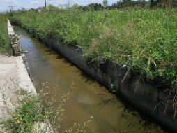 El viernes pasado murió ahogada una familia cuando, se presume, cayeron al canal. ARCHIVO /