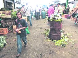 Deficiencias. La FAO señala que ''las normas estéticas llevan a los minoristas a rechazar los alimentos''. EL INFORMADOR /