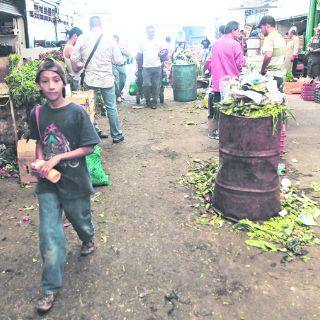 Más de mil millones de toneladas de alimentos se desperdician cada año