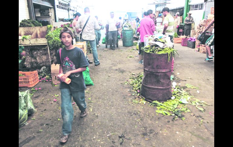 Deficiencias. La FAO señala que ''las normas estéticas llevan a los minoristas a rechazar los alimentos''. EL INFORMADOR /