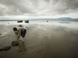 El Lago de Chapala sigue en saldos negativos, pues entre 2011 y 2013 se acumularon los descensos de nivel más pronunciados. ARCHIVO /