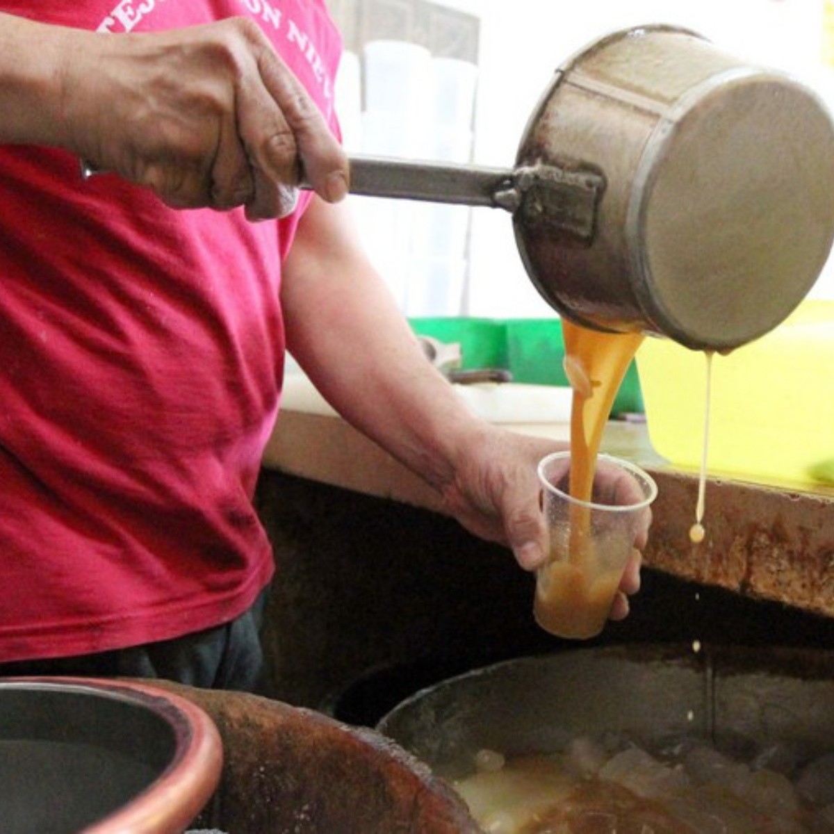 Bebidas prehispánicas perduran en el gusto del mexicano | El Informador