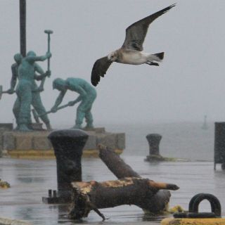 Efectos de ''Ingrid'' y ''Manuel'' seguirán hasta el lunes