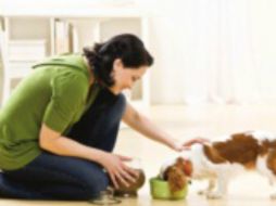 En este segmento, las croquetas son el producto más vendido. ESPECIAL /