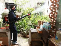 Durante esta temporada de lluvias, piden a la población redoblar esfuerzos para combatir al  mosco  Aedes Aegypti. ARCHIVO /