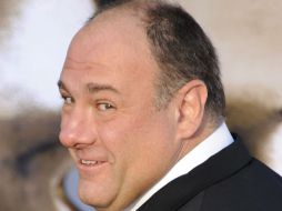 El tributo a James Gandolfini será presentado por su co-estrella en ''The Sopranos'', Edie Falco. ARCHIVO /