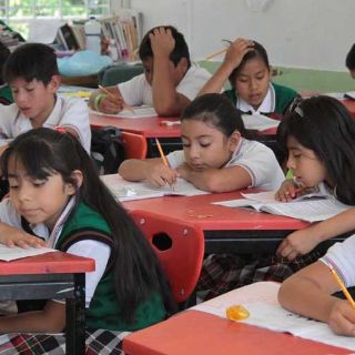 Prueba ENLACE: la Entidad avanza en primaria y se estanca en secundaria