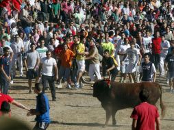 Participantes en el encierro del torneo del Toro de la Vega tratan de dar muerte al toro Vulcano. EFE /