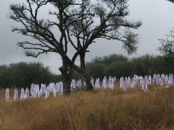 En noviembre pasado, el fotógrafo estadounidense realizó una sesión en San Miguel de Allende, Guanajuato. ARCHIVO /
