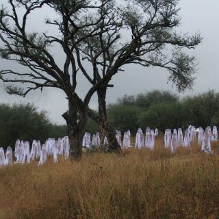 Tributo a Spencer Tunick, desnudará a tapatíos