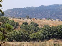 Con el nuevo organismo, autoridades buscan proteger el bosque de futuros daños. ARCHIVO /