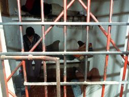 En Venezuela funcionan 33 cárceles con capacidad nominal para 16 mil 539 reclusos, pero la población penal es tres veces mayor. ARCHIVO /