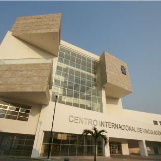 Anfibios y reptiles se adaptan pese a aumento de salinidad