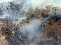 El incendio afectó a 21 de las 500 hectáreas del parque. ARCHIVO /