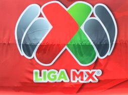 La Liga MX se suma a las iniciativas de apoyo a los damnificados por ''Ingrid'' y ''Manuel''. MEXSPORT /