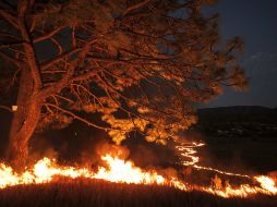 Desde el año 2000, los incendios forestales han destruido unas 3 mil viviendas por año. ARCHIVO /