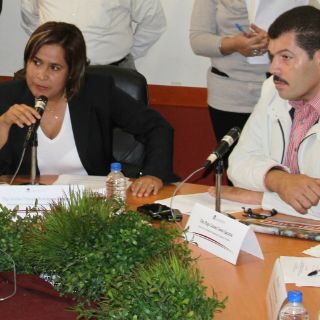 Ley de Libre Convivencia, aprobada por Comisión del Congreso