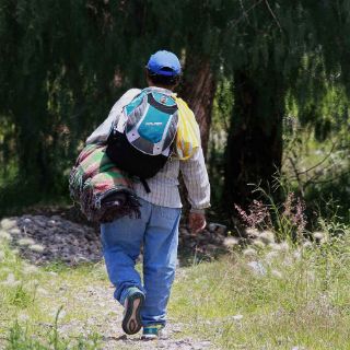 Prevén que albergue para migrantes quede a cargo de asociación civil