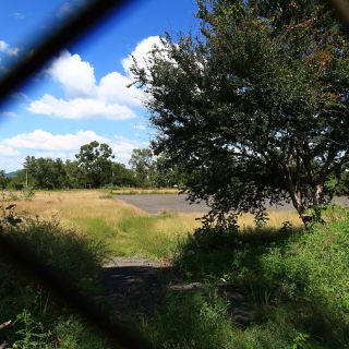 Iconia creará nueva área pública para el Norte tapatío