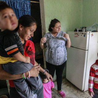 Claves para entender la Ley de Libre Convivencia