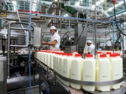 Jalisco produce trece por ciento de la leche que se consume en el país. ARCHIVO /