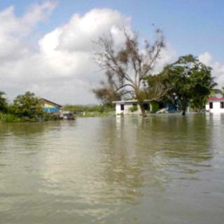 Tras catástrofe, el cólera podría volverse epidemia nacional: SSA