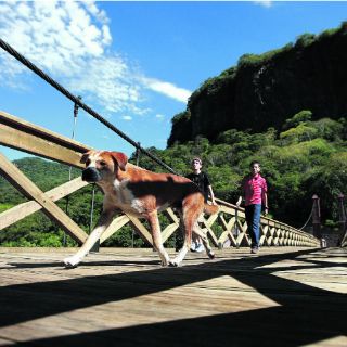 Reabren Puente de Arcediano... sólo los fines de semana