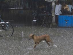 Las lluvias no cesarán en el Estado al menos por unos días más. AFP /