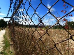 Imagen del terreno donde se planea la construcción del desarrollo inmobiliario. ARCHIVO /