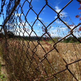 Iconia debe servir a la convivencia con la Barranca