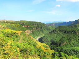 Reserva. La Barranca de Huentitán, considerada un purificador del aire de 56 mil hectáreas. EL INFORMADOR /