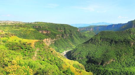 Reserva. La Barranca de Huentitán, considerada un purificador del aire de 56 mil hectáreas. EL INFORMADOR /