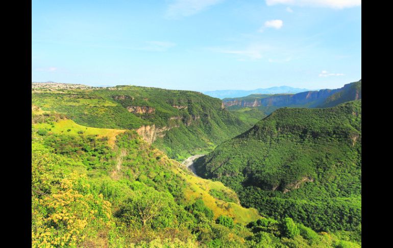 Reserva. La Barranca de Huentitán, considerada un purificador del aire de 56 mil hectáreas. EL INFORMADOR /