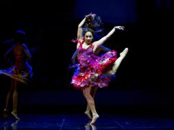 El elenco que conforma la obra es una mezcla de talento tapatío con actores quehan recorrido un largo camino en teatro. ARCHIVO /