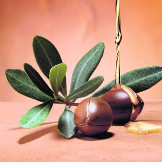 Grandes beneficios del aceite de Argán