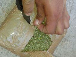 El mayor daño que ocasiona la mariguana en el organismo, es la afectación al sistema cerebral y al sistema nervioso central. ARCHIVO /