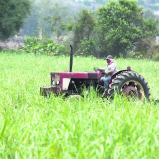 El agro pide trato especial en reforma hacendaria