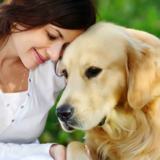 En Zapopan realizarán festival de animales de compañía