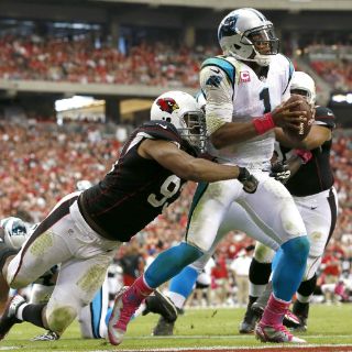 Arizona frena a Newton y vence a Panteras