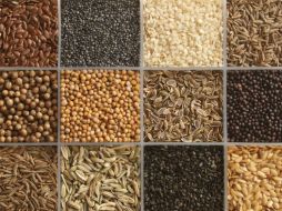 Diferentes semillas proporcionan la mayor parte de los nutrientes. ESPECIAL /