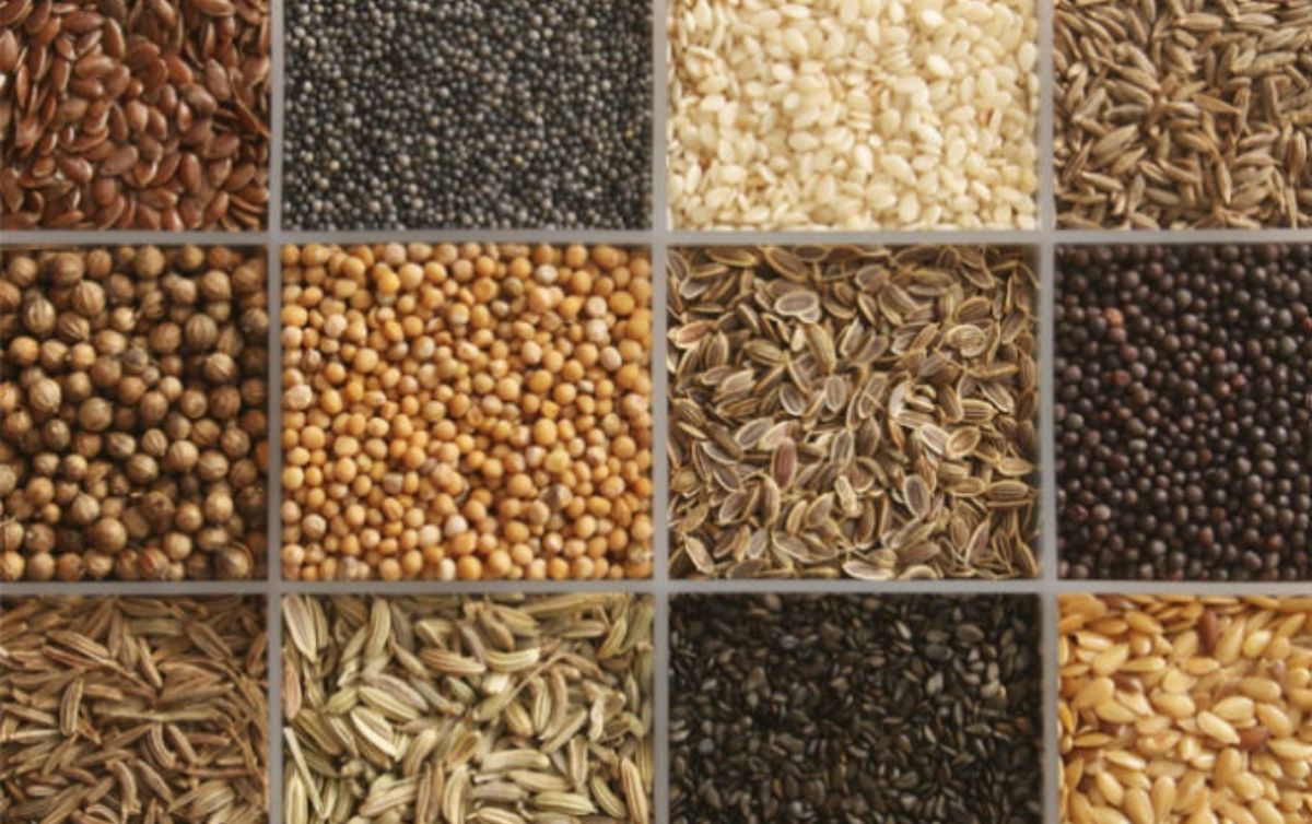 Las diez semillas más saludables del mundo | El Informador