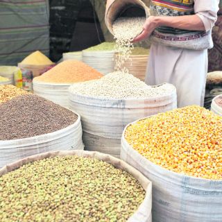 Más de 30 millones de personas abandonan la pobreza alimentaria