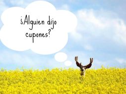 Existen herramientas para conectar a compradores con los beneficios del mercado. ESPECIAL /