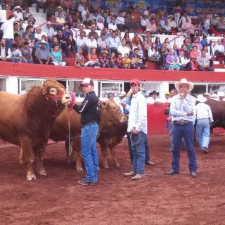 Abre sus puertas la 47 edición de Expo Ganadera