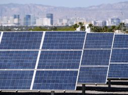 Aunque la Semarnat tiene programas para proyectos que protegen el medio ambiente, los recursos no llegan directamente a las empresas.  /