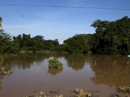 Declaran que 10 municipios de Colima fueron afectados por la tormenta tropical Manuel del 14 al 17 de septiembre pasado. ARCHIVO /