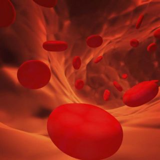 Urge programa nacional para atender la hemofilia