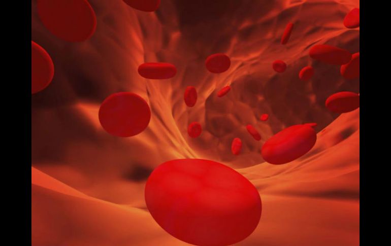 Durante éstos días, la iniciativa sobre Seguridad Sanguínea estará siendo discutida en la Comisión de Salud del Senado. ESPECIAL /